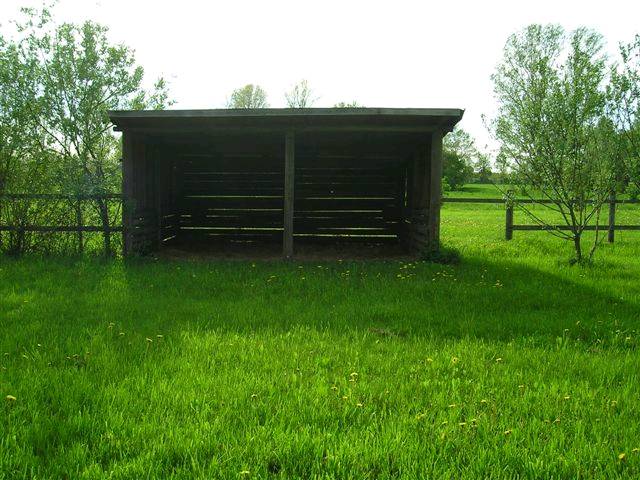 Bild 60